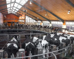 Bâtiment agricole - Génovia Infrastructures en Occitanie